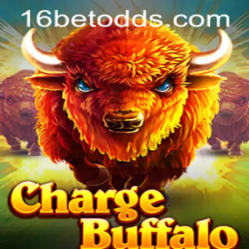16bet Casino App
